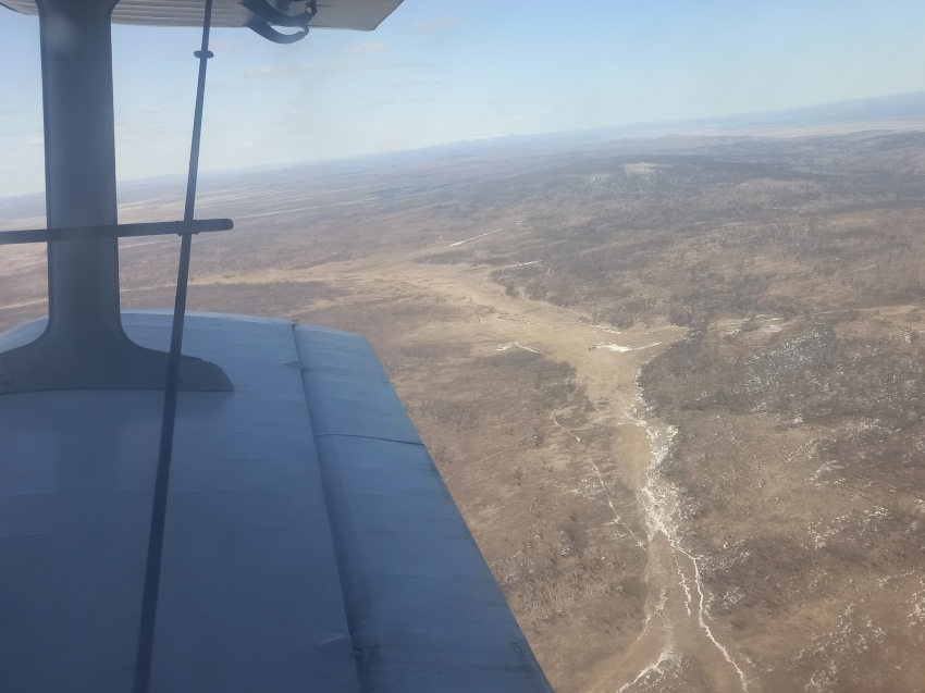 Сотрудники Читинской авиабазы отметили высокую вероятность возгорания леса в трёх районах края